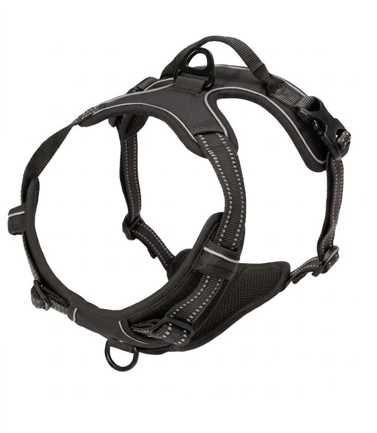 Pup Safety Harness Bundle