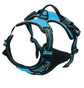 Pup Safety Harness Bundle