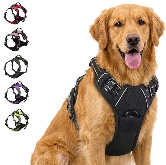 Pup Safety Harness Bundle