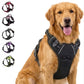 Pup Safety Harness Bundle