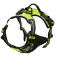 Pup Safety Harness Bundle