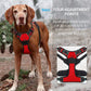 Pup Safety Harness Bundle