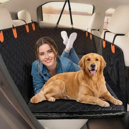 PawRover Hard Bottom Dog Car Seat Protector