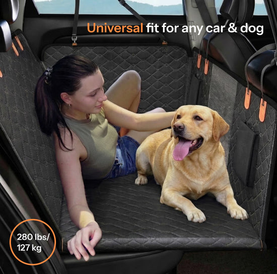 PawRover Hard Bottom Dog Car Seat Protector