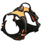 Pup Safety Harness Bundle