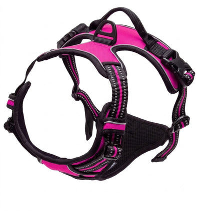 Pup Safety Harness Bundle