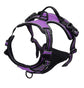 Pup Safety Harness Bundle