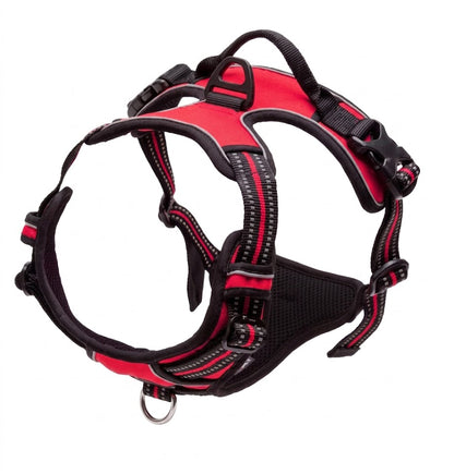 Pup Safety Harness Bundle