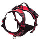 Pup Safety Harness Bundle