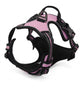 Pup Safety Harness Bundle