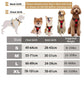Pup Safety Harness Bundle